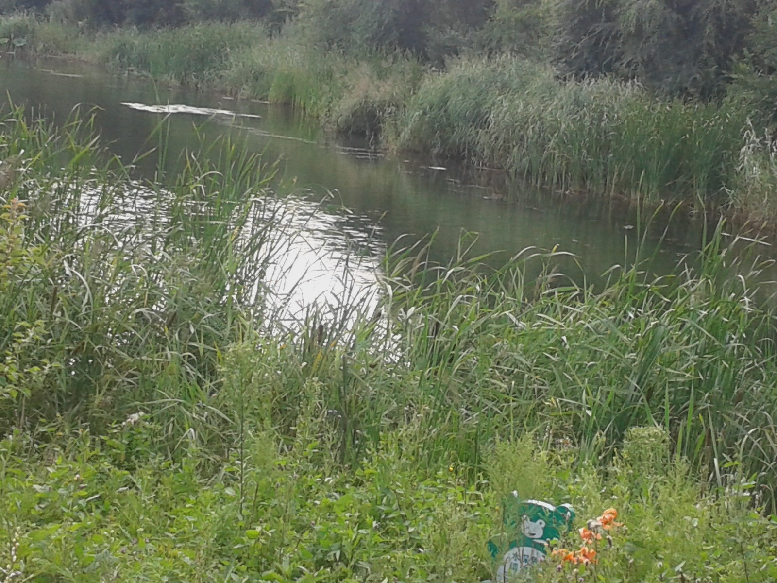 20140808_132140.jpg