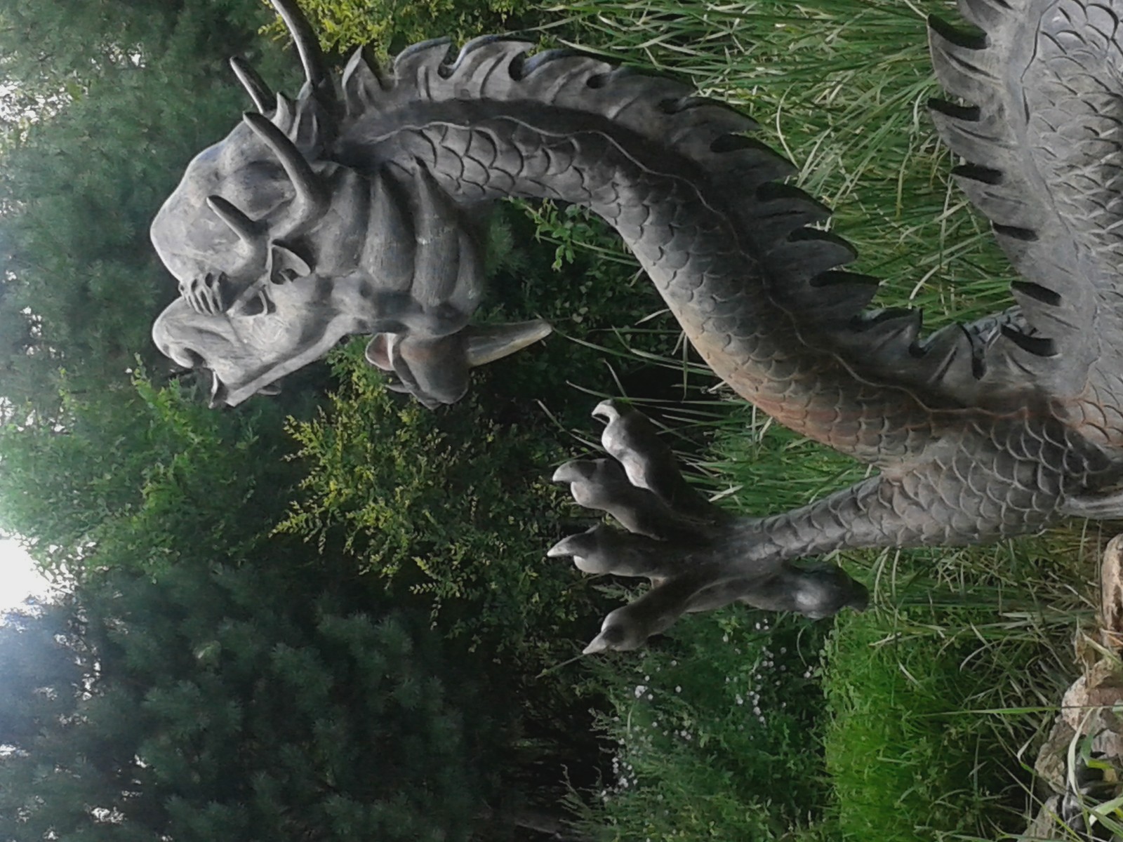 20140808_132222.jpg
