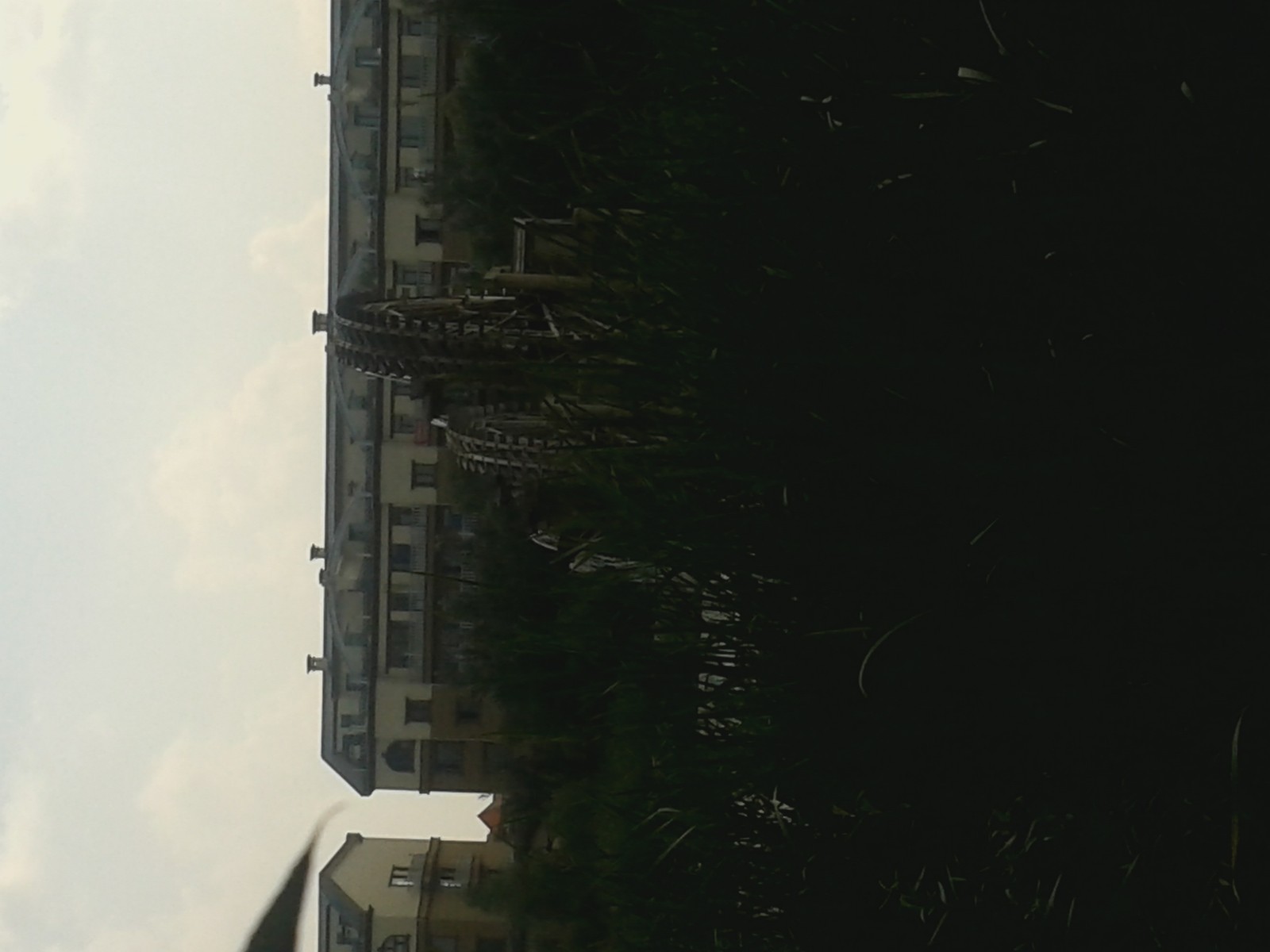 20140808_132228.jpg