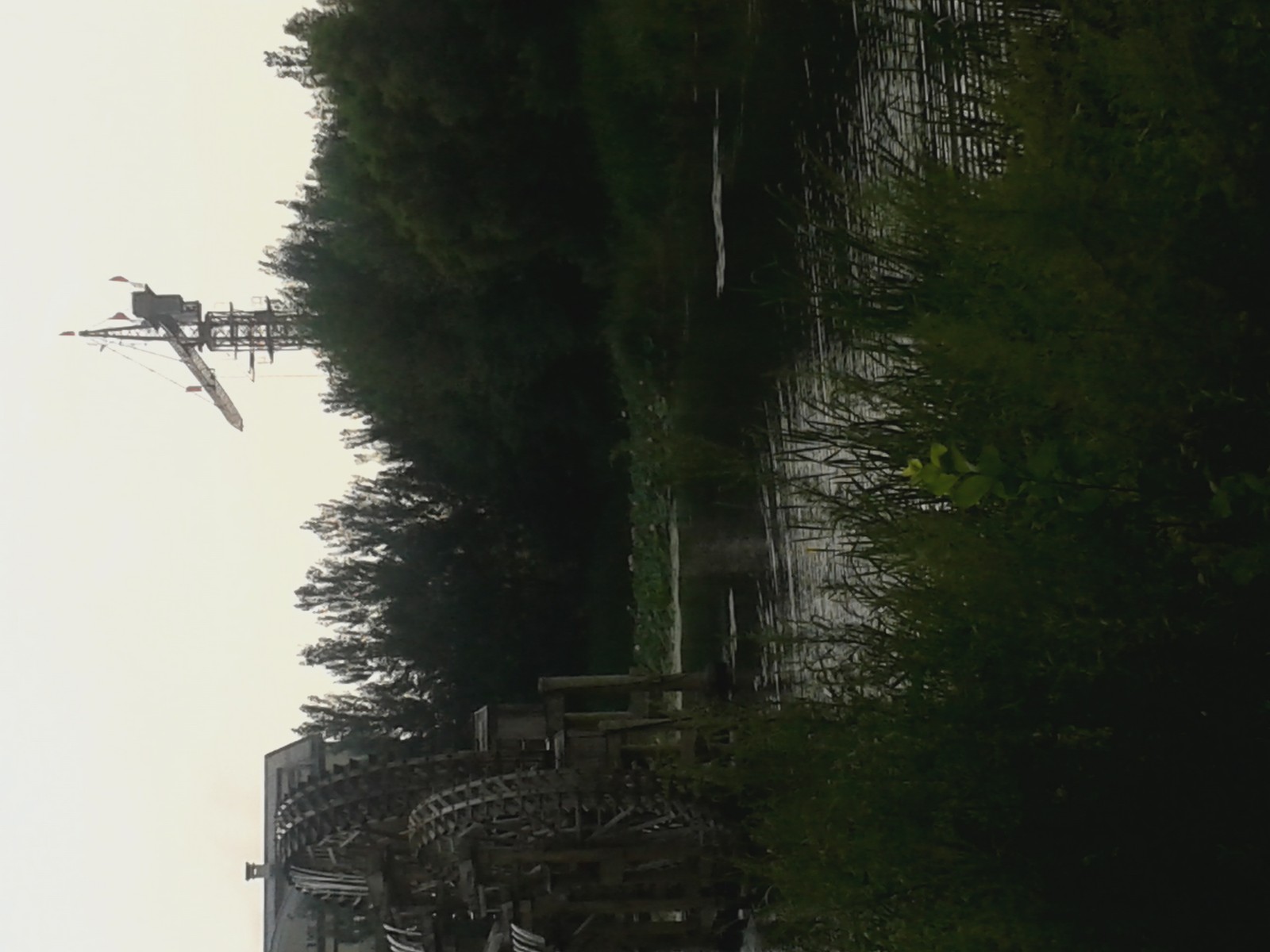 20140808_132314.jpg