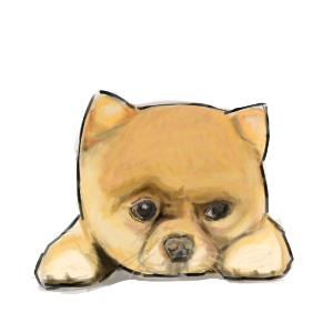 11.png