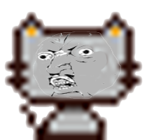 楠猫3.png