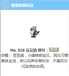 豆豆鸽