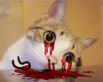 d48c49fcgw1ejg3b7y4kbg2043039q35.gif