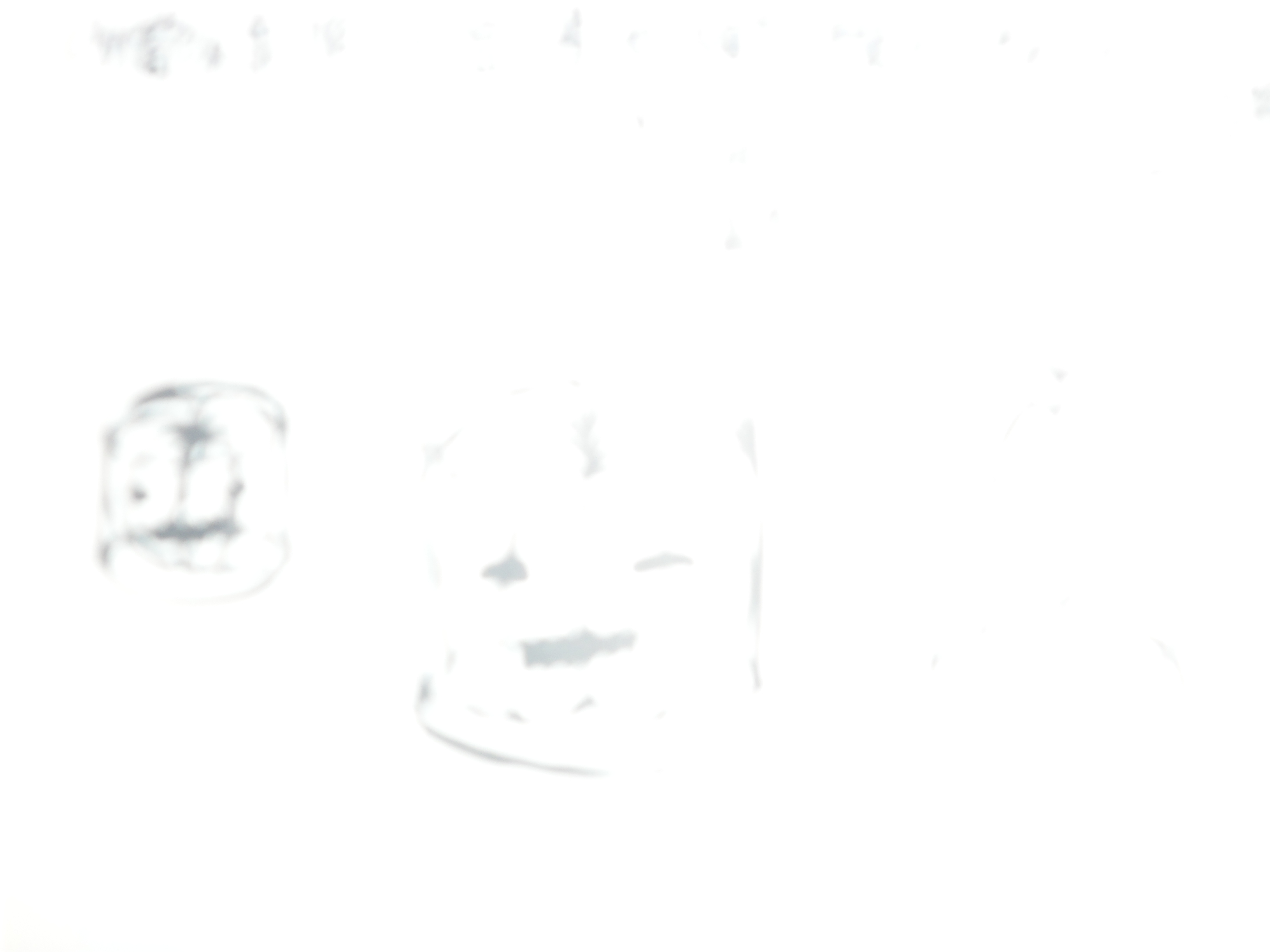 SAM_3039.JPG
