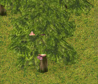 255.png