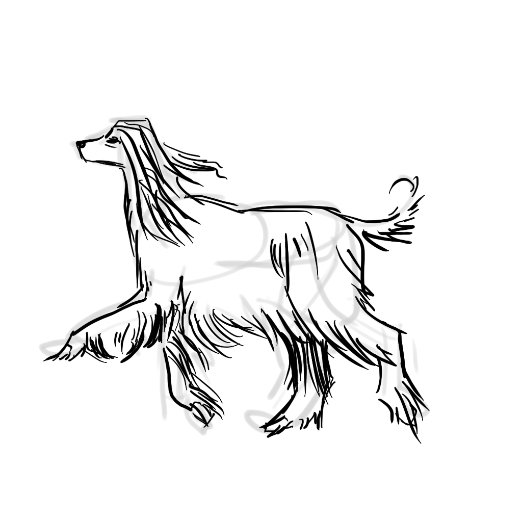 狗1.png