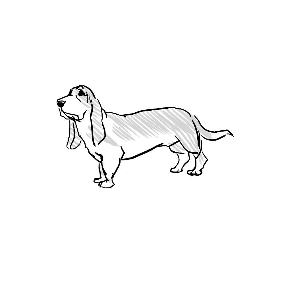 狗3.png