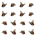 苍蝇.png
