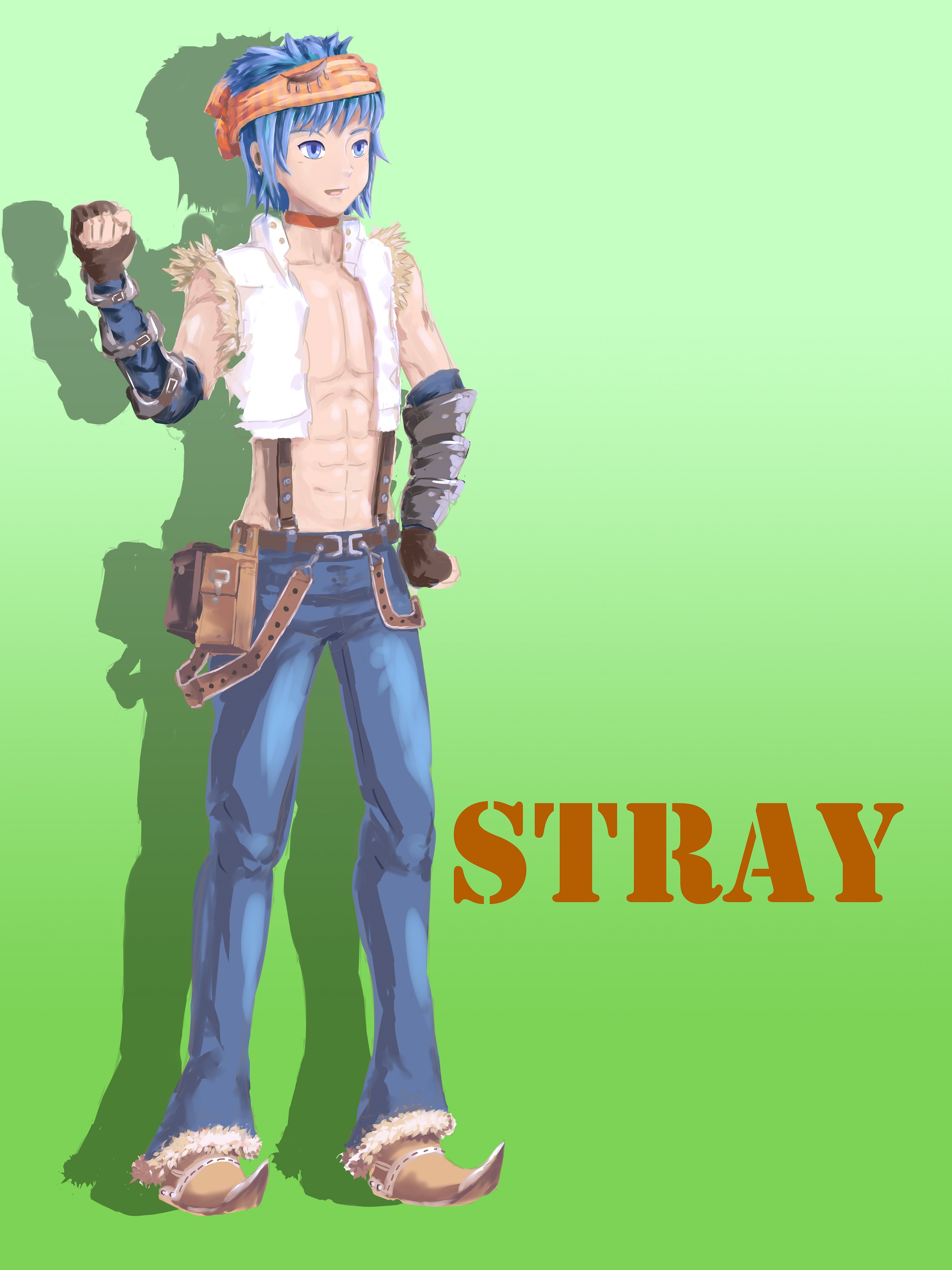 Stray.jpg