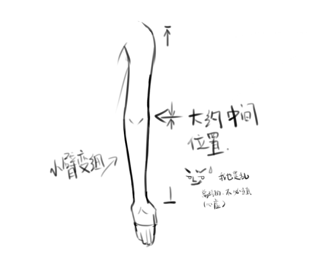 未标题-1.png