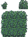 竹林顶部.PNG
