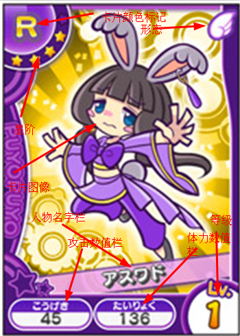卡片内容介绍.png
