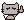 中指楠猫.gif