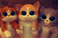 a3a7f503918fa0ec6a0d5b7f279759ee3c6ddb75.gif