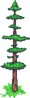 未标题-1.gif