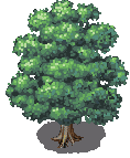tree2.png