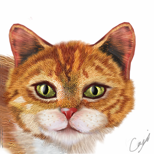 2.png