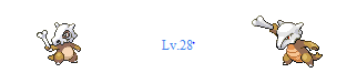 5.PNG