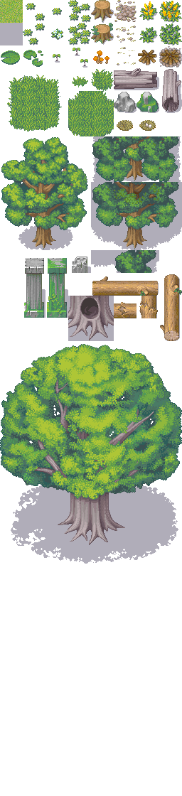 001-明亮的森林.png