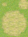 006-Ground.png