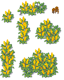 Add-ons-3.png