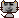 尔东楠猫7.png