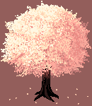 樱花.png