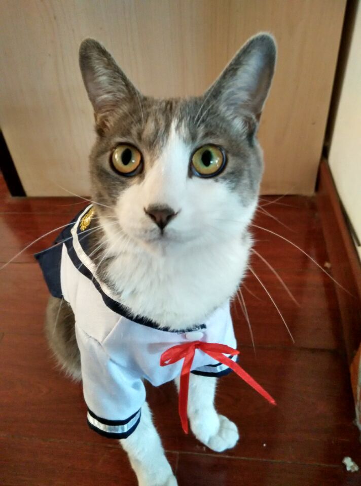 QQ图片20150531124010.jpg