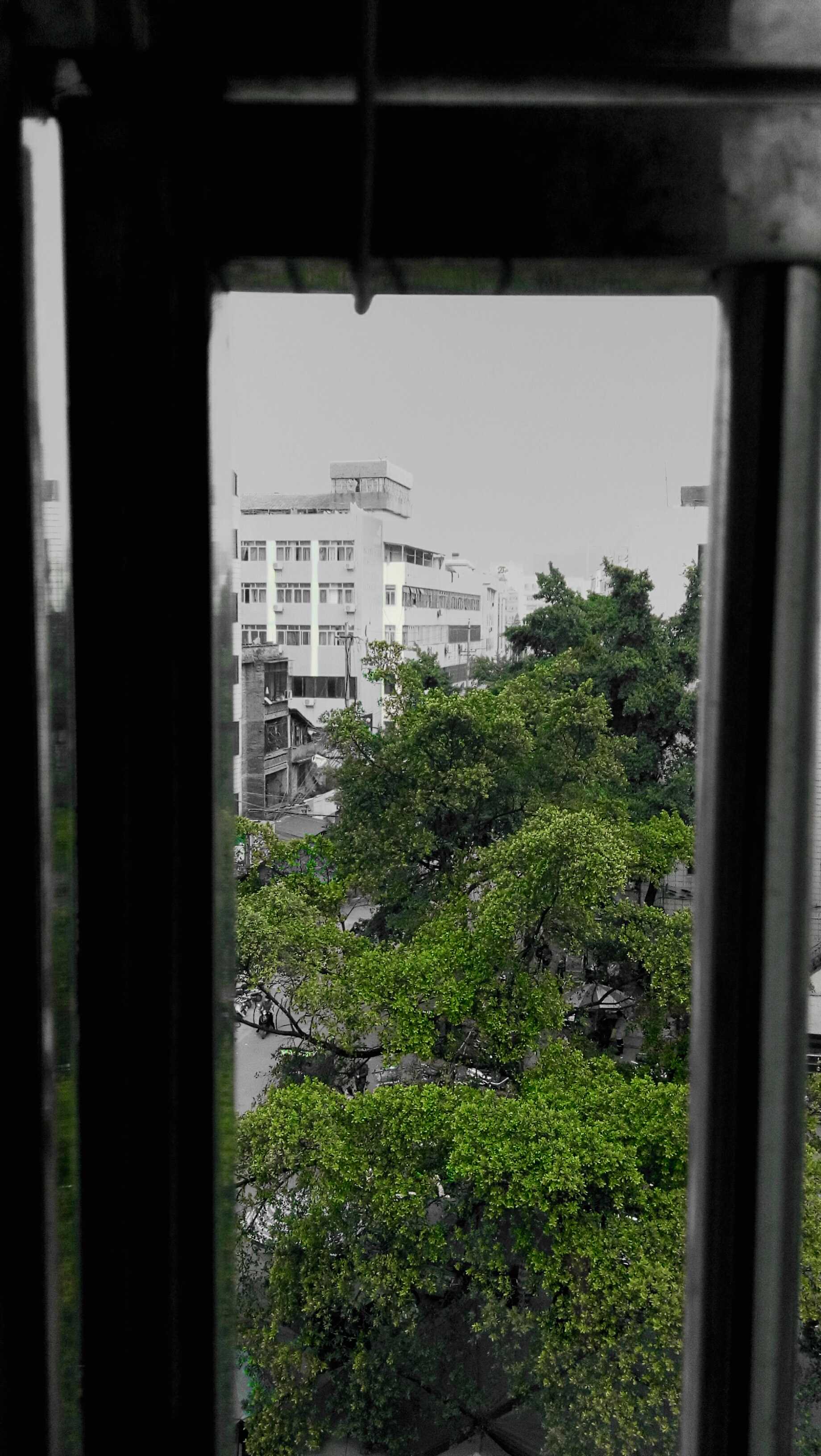 C360_2015-01-09-12-05-12-749.jpg