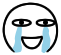 泪.png