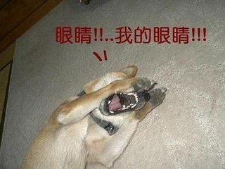 t01a8b8aba102c0c3c9.jpg