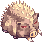 废林-野猪.png