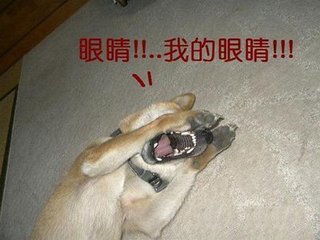 t010c20a8cfebd9c004.jpg