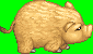 25.png