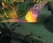 神器.jpg