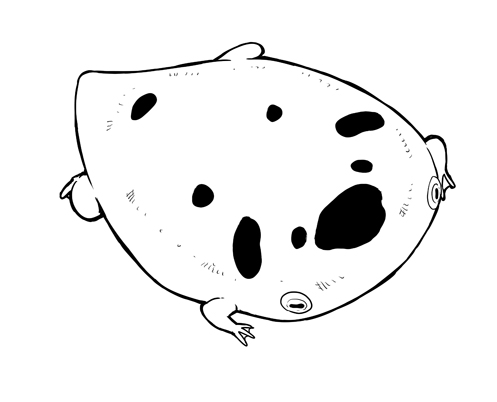 frog_01 copy.jpg