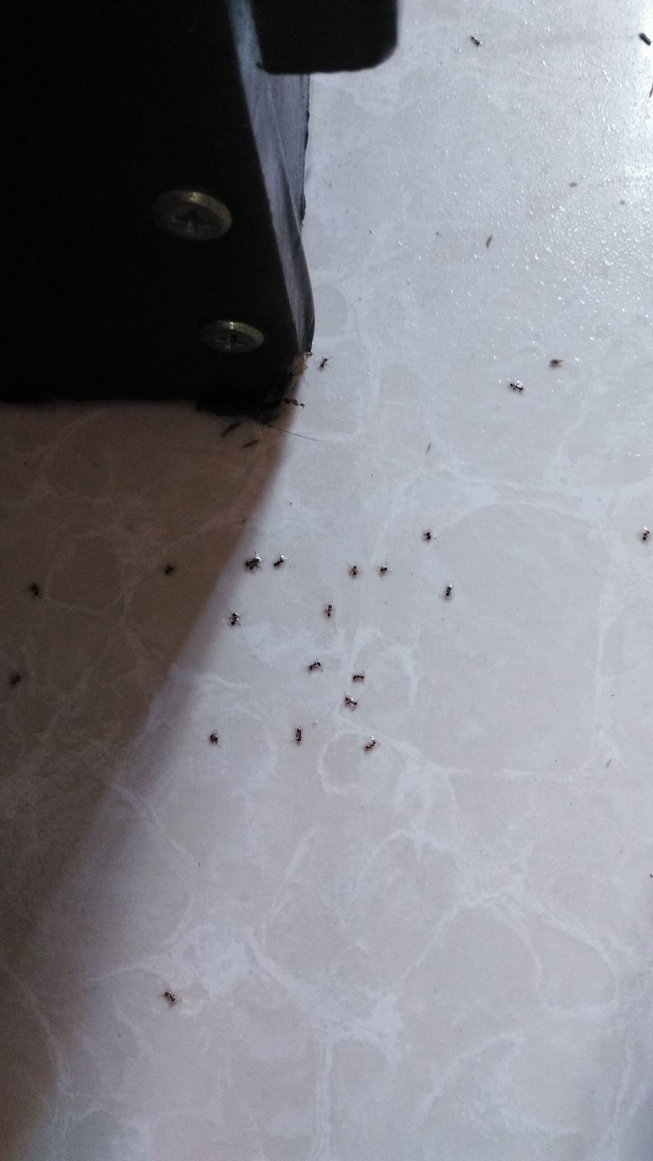 QQ图片20151106161957.jpg