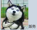 4.png