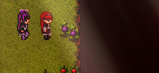 010.png