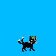 01.gif