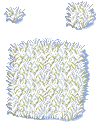自动雪丛.png
