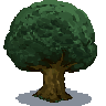 树木（旧）.png