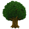 树木（新）.png