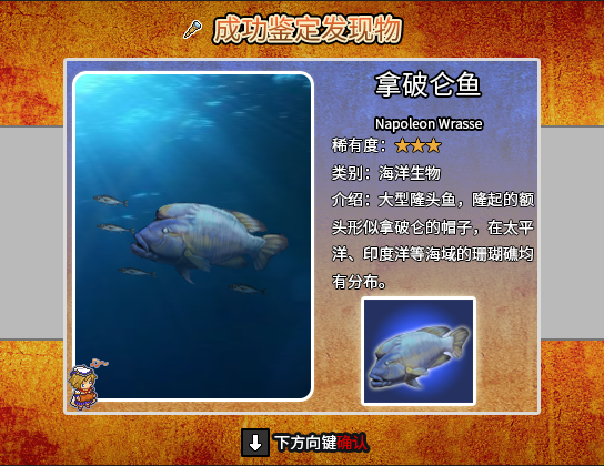 发现物【鱼】003.png