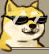 QQ图片20151108222638.gif