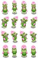 布布花.png