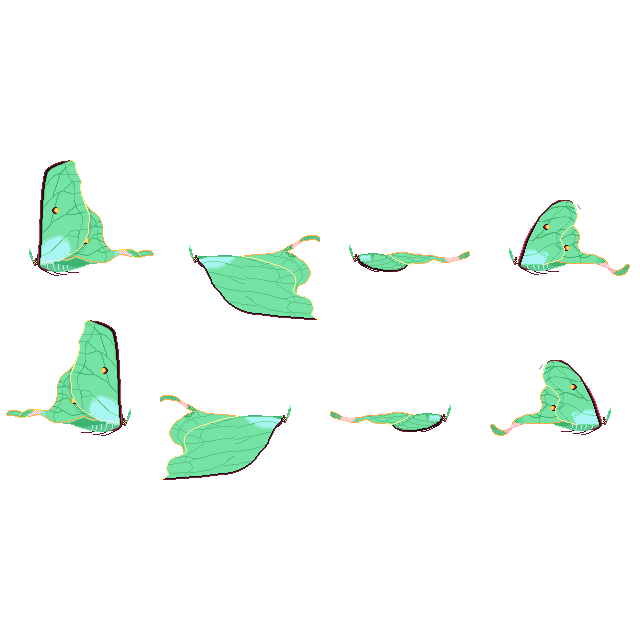 月神蛾.png