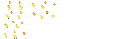 眩晕 小鸡 .png