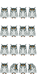 猫头鹰.png